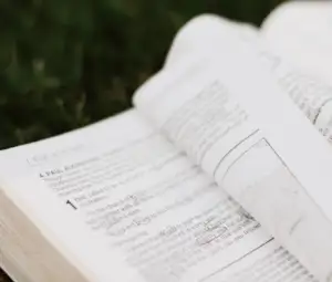 open ministry 2.webp